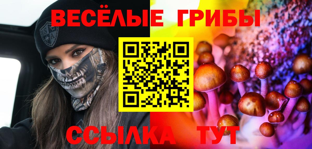 Галлюциногенные грибы Psilocybe  Вход с VPN  Сальск 