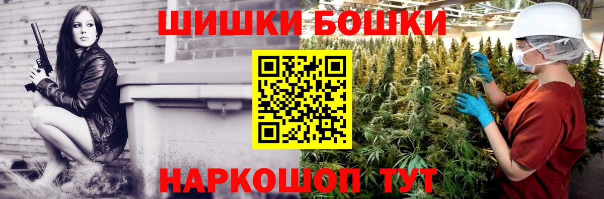МЕФ Сальск